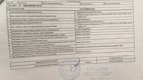 Что содержит расширенная выписка из ЕГРН в Оптима