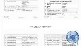 Что содержит расширенная выписка из ЕГРЮЛ в Оптима