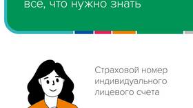 Что такое страховой номер индивидуального лицевого счета (СНИЛС)? в Оптима