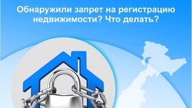 Что такое запрет на регистрационные действия в Оптима