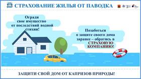 Для чего необходимо страховать имущество в Оптима