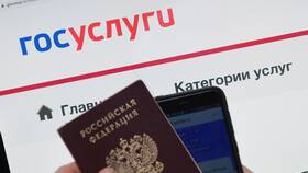 Как получить справку о мобилизации через Госуслуги в Оптима