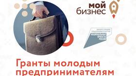 Как получить субсидии предпринимателю: полное руководство в Оптима