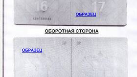 Как получить загранпаспорт и визу в Оптима