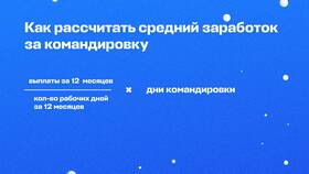 Как рассчитать годовой доход в Оптима