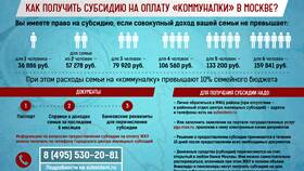 Как считается доход для получения субсидии в Оптима