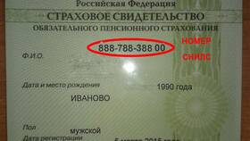 Как узнать дату рождения по СНИЛС в Оптима