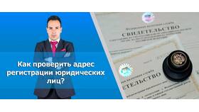 Как узнать название юридического лица в Оптима