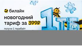 Как узнать остаток интернет-трафика на Билайн в Оптима