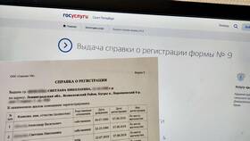 Как заказать справку на сайте Госуслуг в Оптима