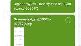 Лайм Займ: особенности работы сервиса в Оптима