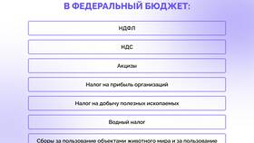 Почему НДФЛ является федеральным налогом в Оптима