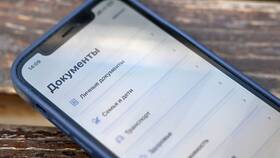 Почему не получается попасть в Госуслуги в Оптима