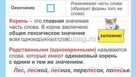 Почему приставки и суффиксы - значимые части слова в Оптима