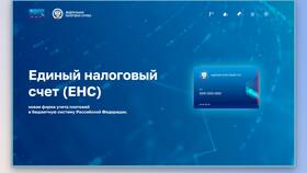 Сальдо ЕНС: понятие и значение в Оптима