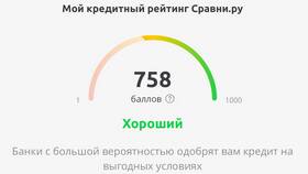 В чем состоит кредитный риск в Оптима