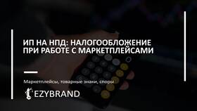 Выбор между ИП и ООО для торговой деятельности в Оптима