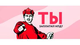 Я иду платить налоги: что нужно знать